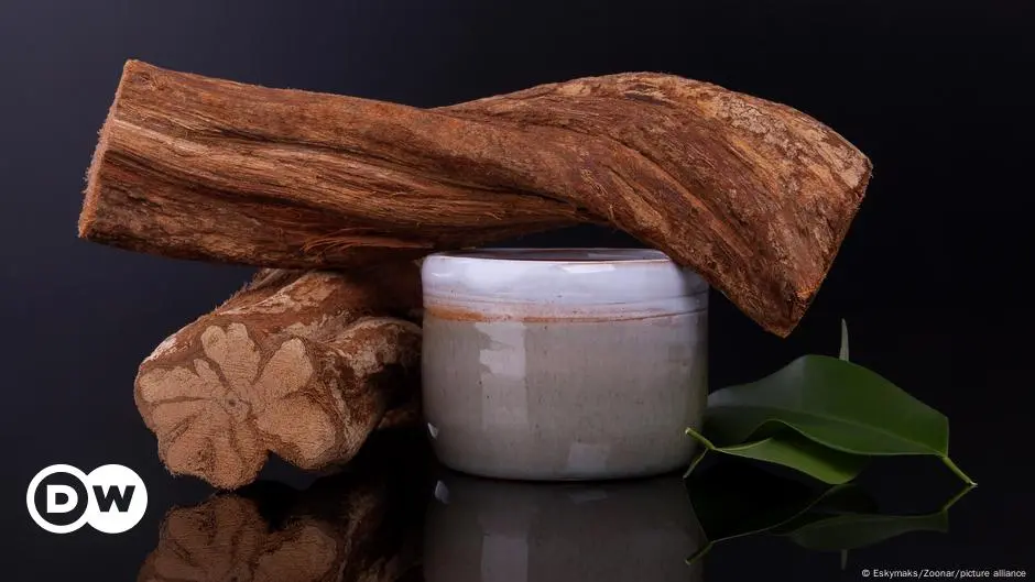 turismo ayahuasca - Dónde se hacen las ceremonias de ayahuasca