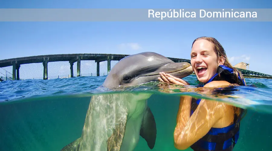 Turismo de Delfines: Una Guía Completa para Observación Responsable - Dónde se pueden ver los delfines en Colombia turismo delfines - Dónde se pueden ver los delfines en Colombia