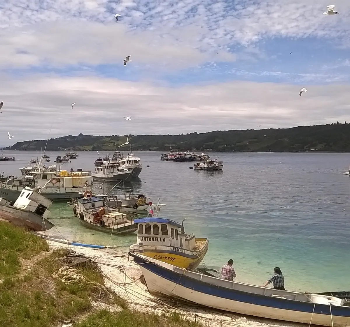 Transbordador a Chiloé: Guía completa para tu viaje - Dónde se toma el transbordador para ir a Chiloé chiloé turismo transbordador - Dónde se toma el transbordador para ir a Chiloé