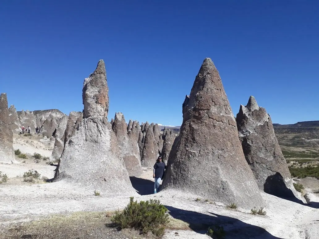 Bosque de Piedras de Huayllay: Una Maravilla Natural Peruana - Dónde se ubica el bosque de piedras bosque de piedra el turismo - Dónde se ubica el bosque de piedras