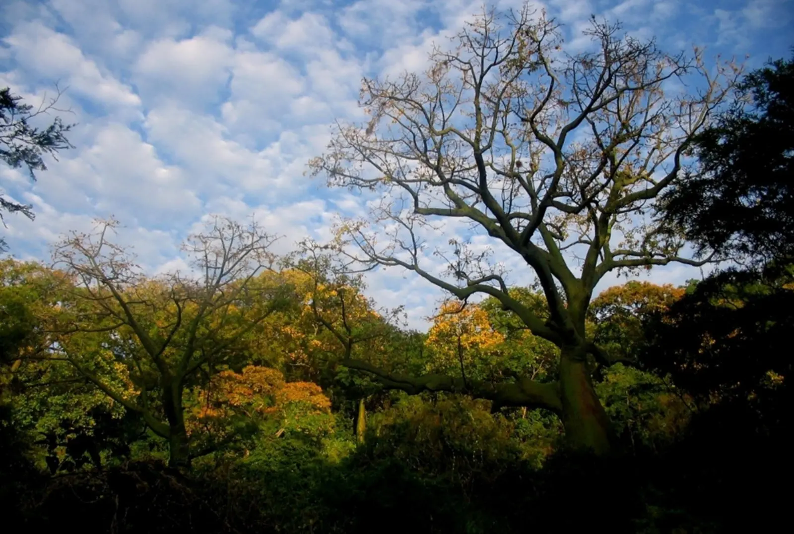 Turismo en el Coto de Caza El Angolo: Una experiencia única en el bosque seco ecuatorial - Dónde se ubica el coto de caza El Ango turismo coto de caza el angolo - Dónde se ubica el coto de caza El Ango