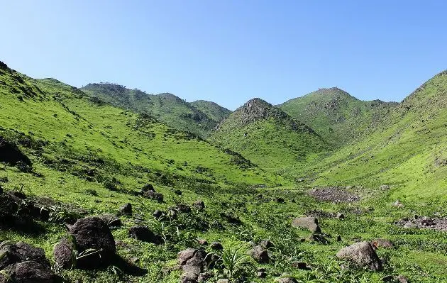 biodiverdidad lomas de asia cañete turismo - Dónde se ubican las lomas de Asia