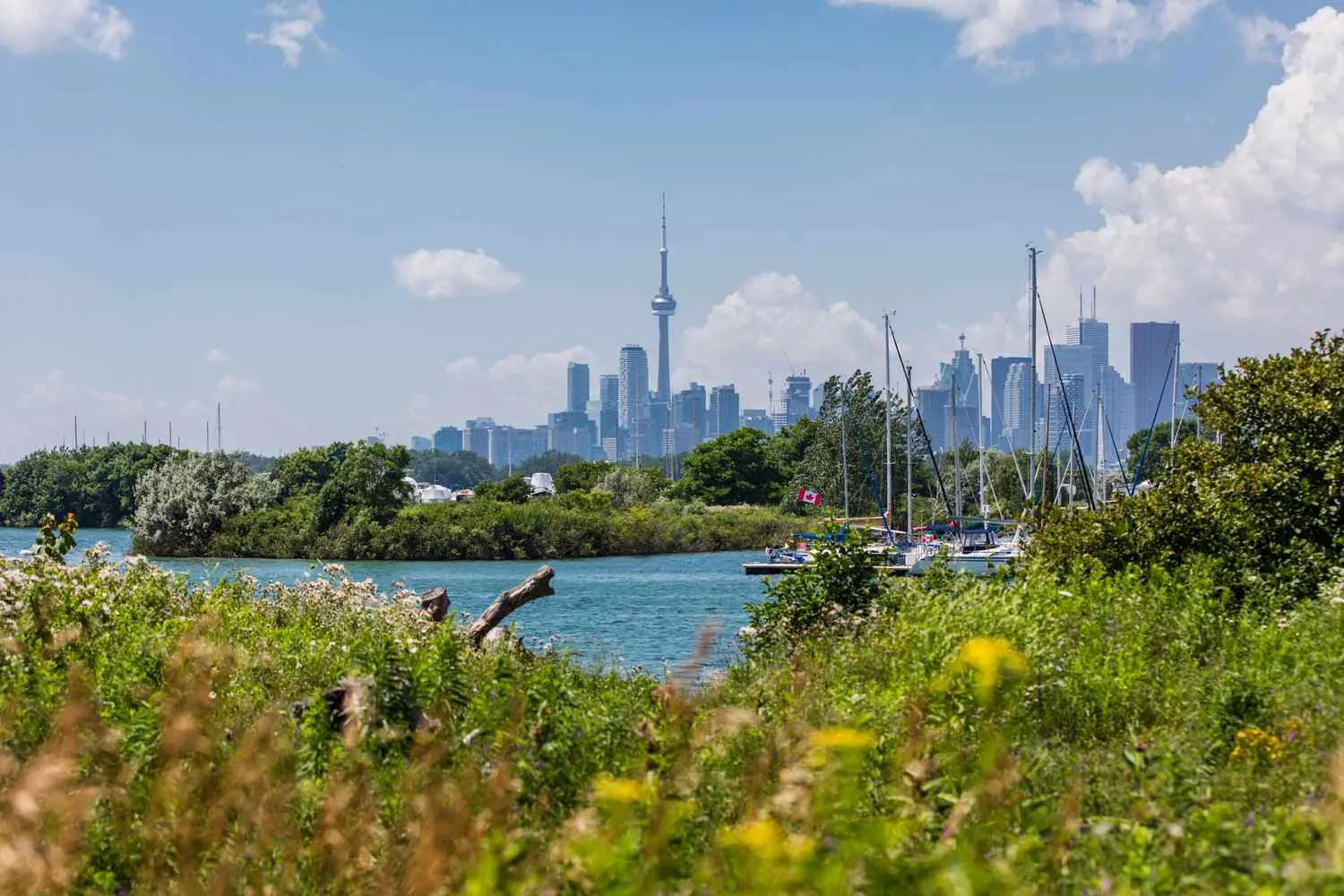 Turismo en Toronto en Diciembre: Una Guía Completa para tu Viaje Invernal - Es bueno visitar Toronto en diciembre turismo en diciembre toronto - Es bueno visitar Toronto en diciembre