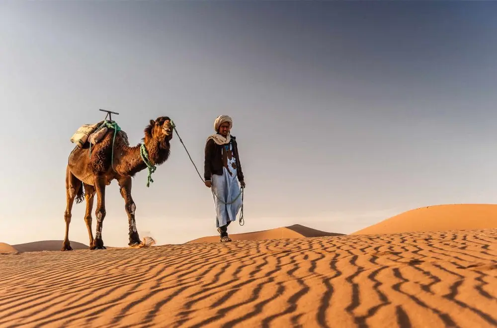 Camel Turismo: Una Experiencia Inolvidable en el Desierto - How much is a camel ride in Morocco camel turism - How much is a camel ride in Morocco