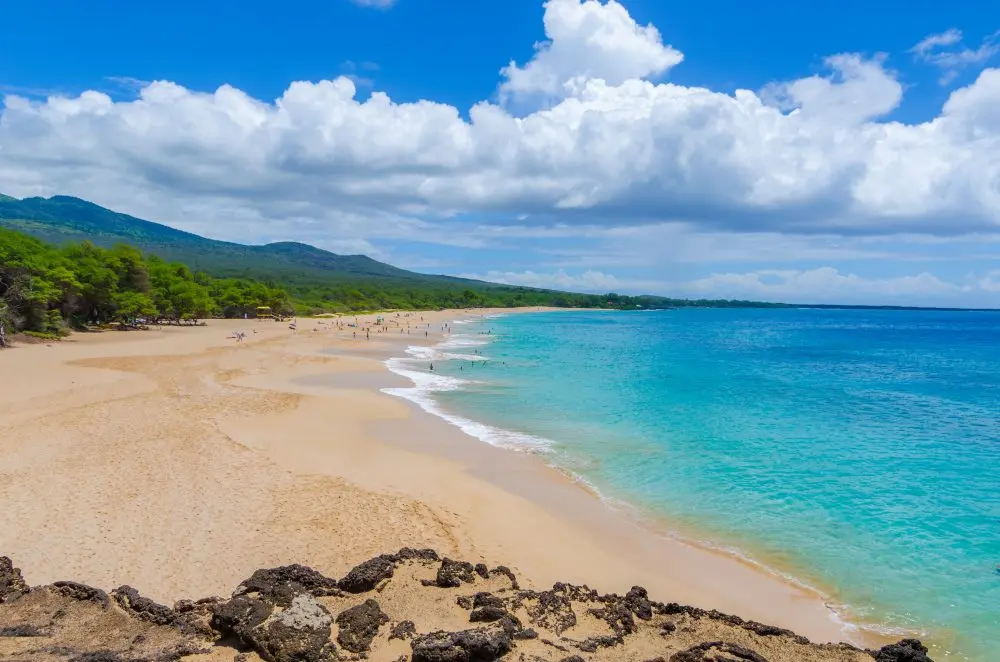maui hawaii turism - Is it okay to go to Maui right now