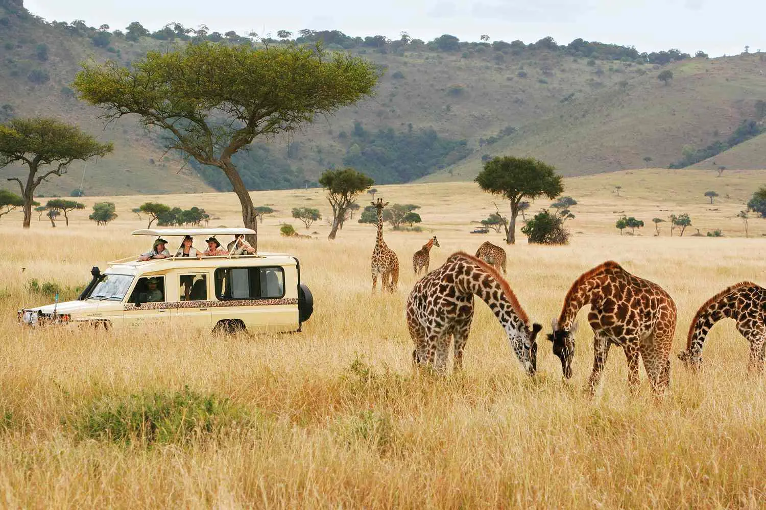 Turismo en Kenia: Una Guía Completa - Is it safe to travel now to Kenya kenya turism - Is it safe to travel now to Kenya