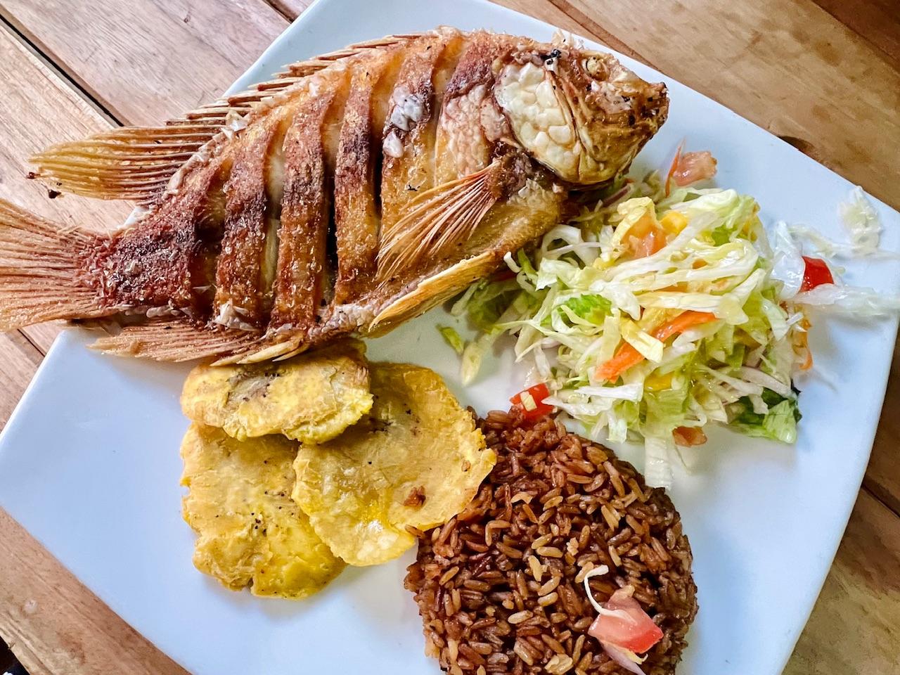 <b>Bebidas típicas de Cartagena: Un recorrido refrescante por la ciudad amurallada</b> - Por qué bebida es conocida Cartagena colombia turismo cartagena bebidas - Por qué bebida es conocida Cartagena