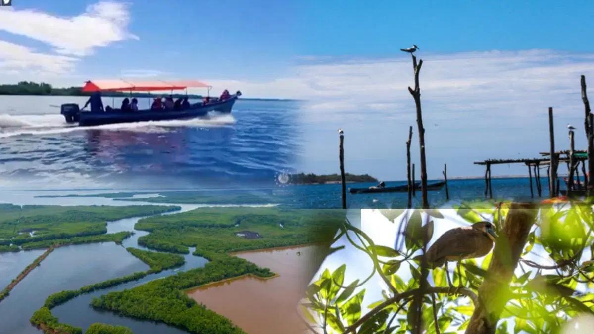 Turismo en la Bahía de Jiquilisco: Un Paraíso Ecológico en El Salvador - Por qué es conocida la Bahía de Jiquilisco turismo en la habia de jiquilisco - Por qué es conocida la Bahía de Jiquilisco