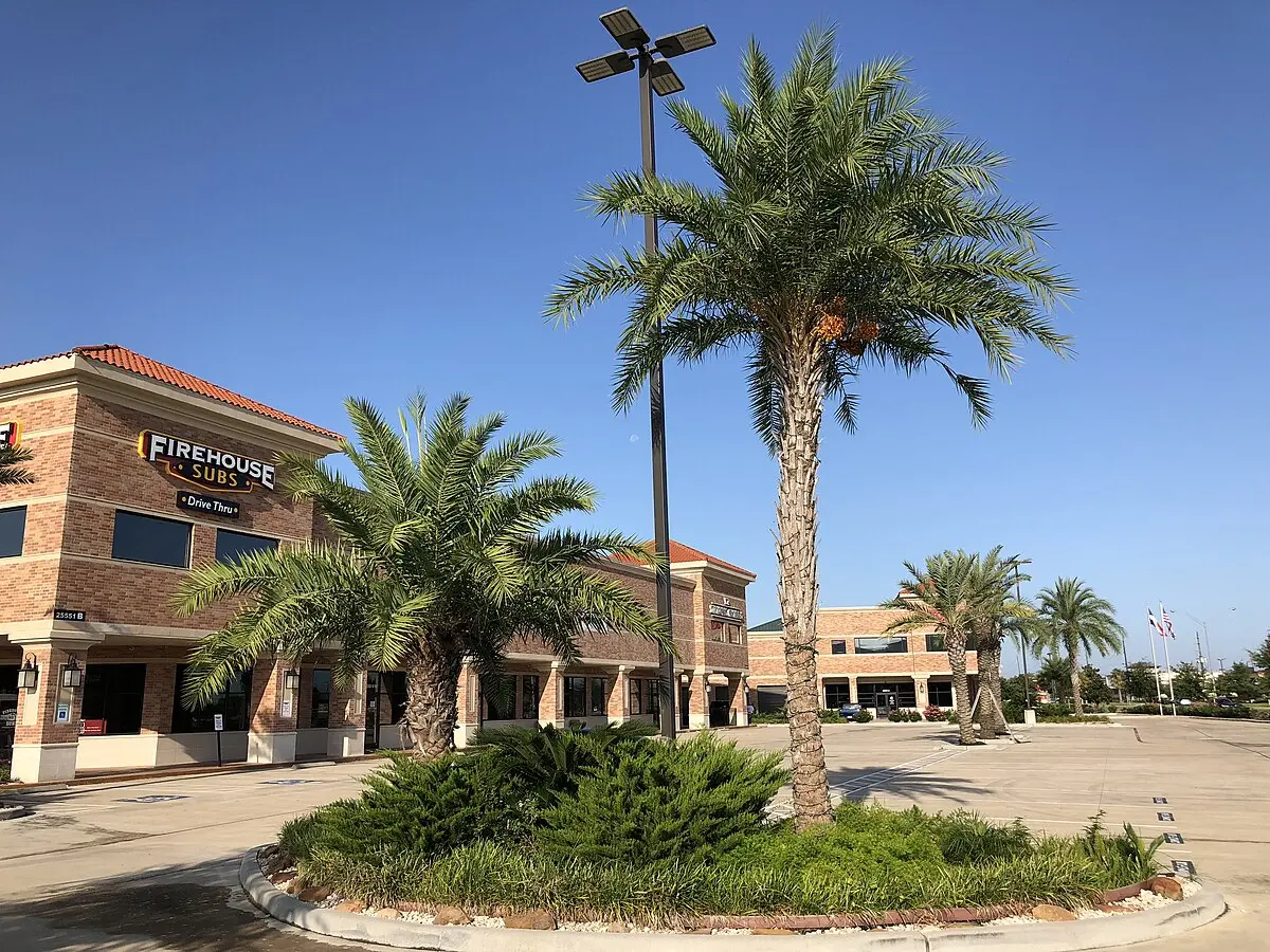 Turismo en Katy, Texas: Una Guía Completa - Por qué es más conocida Katy, Texas turismo en katy texas - Por qué es más conocida Katy, Texas