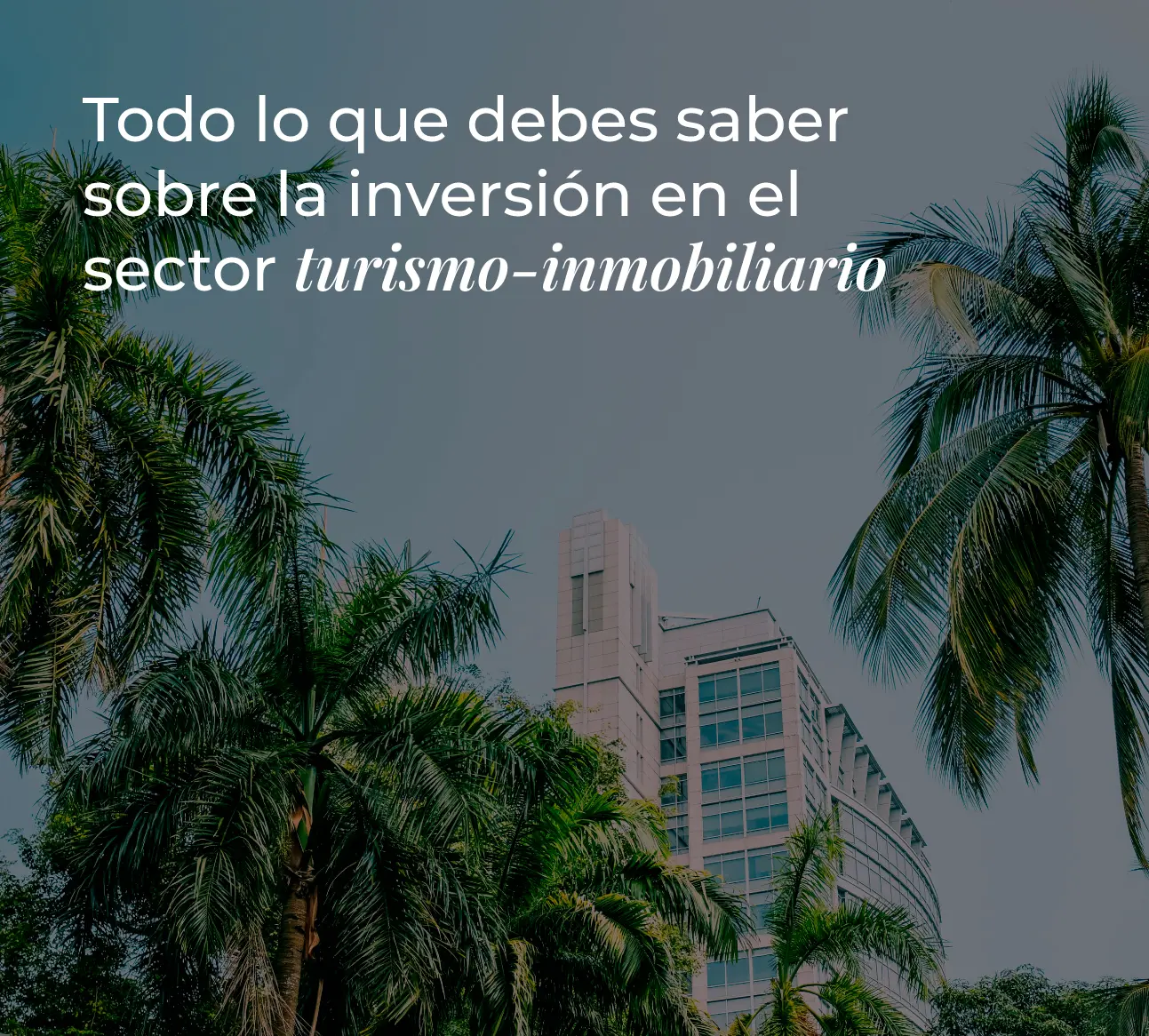 <b>Opinión: Inversión en el Sector Turismo</b>: Una Análisis Completo - Por qué invertir en el turismo opinion inversión en el sector turismo - Por qué invertir en el turismo