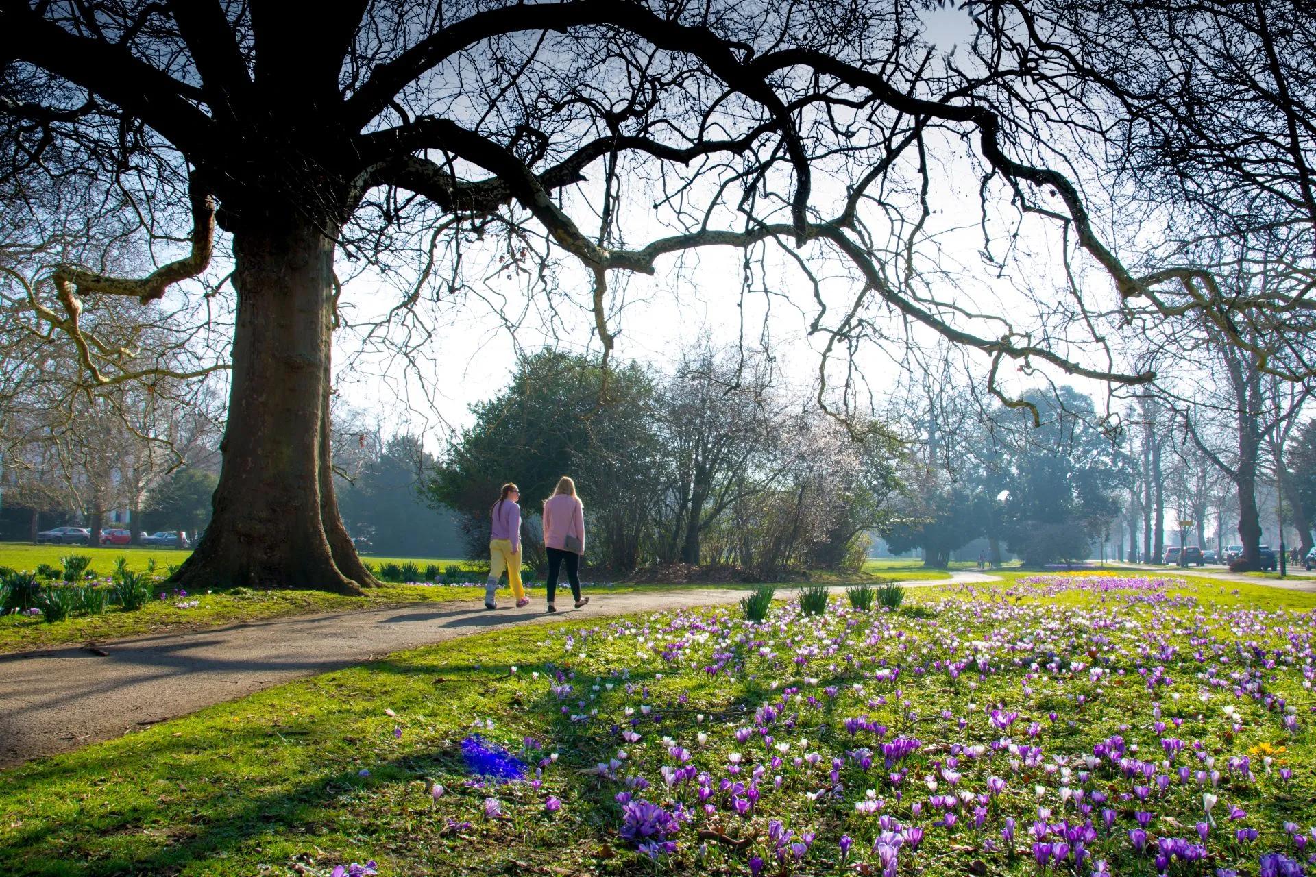 Cheltenham, Inglaterra: La Guía Definitiva para Turistas - Por qué la gente visita Cheltenham cheltenham inglaterra turismo - Por qué la gente visita Cheltenham
