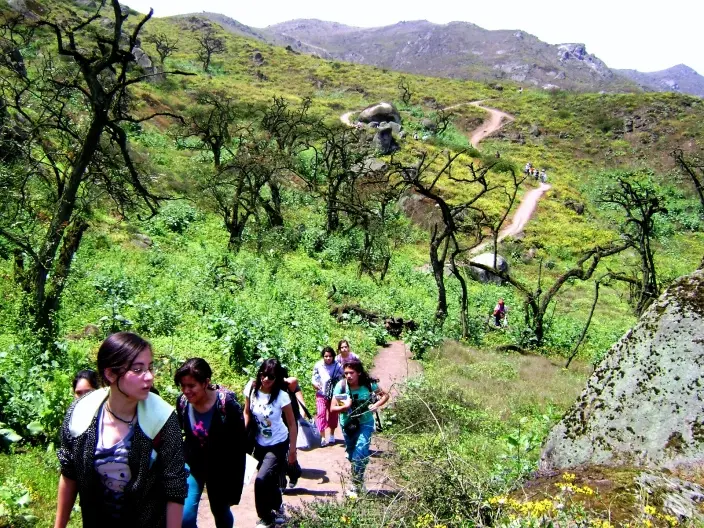 Turismo en las Lomas de Lachay: Una experiencia única en la costa peruana - Por qué son importantes las lomas de Lachay como se manifiesta el turismo en las lomas de lachay - Por qué son importantes las lomas de Lachay
