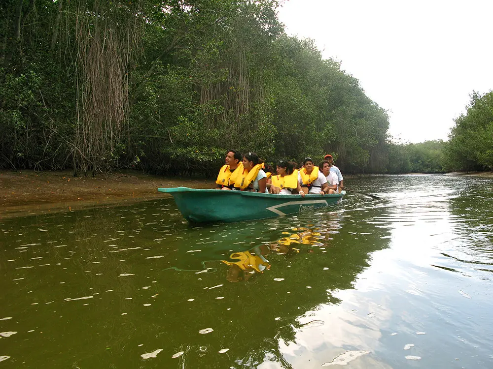 Turismo en los Manglares de Tumbes: Una Experiencia Inolvidable - Por qué visitar los manglares de Tumbes turismo en los manglares de tumbes - Por qué visitar los manglares de Tumbes