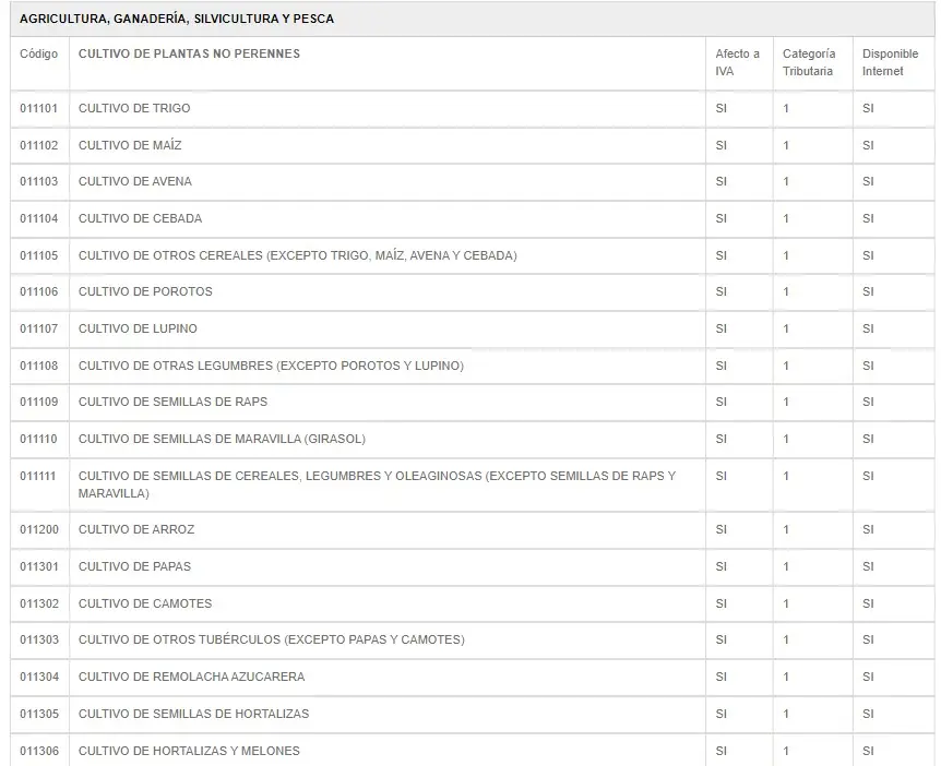 Código de Actividad Económica 7220: Servicios de Software en el Turismo - Qué actividad es el código 7220 codigo actividad economica servicio impuestos internos para turismo - Qué actividad es el código 7220