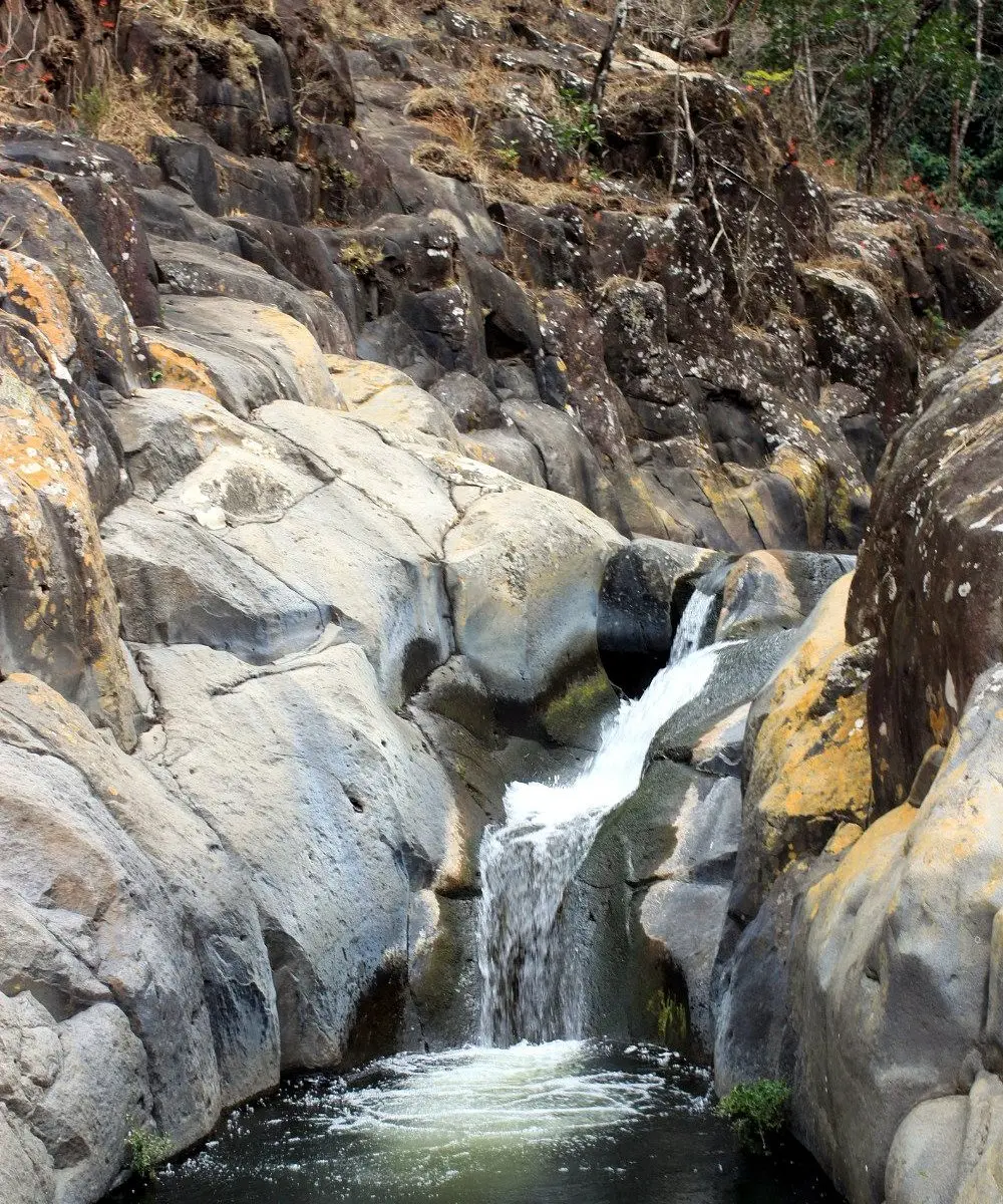 Bosque El Imposible: Turismo de Aventura en El Salvador - Qué actividades se pueden hacer en el Parque Nacional El Imposible bosque el imposible turismo - Qué actividades se pueden hacer en el Parque Nacional El Imposible