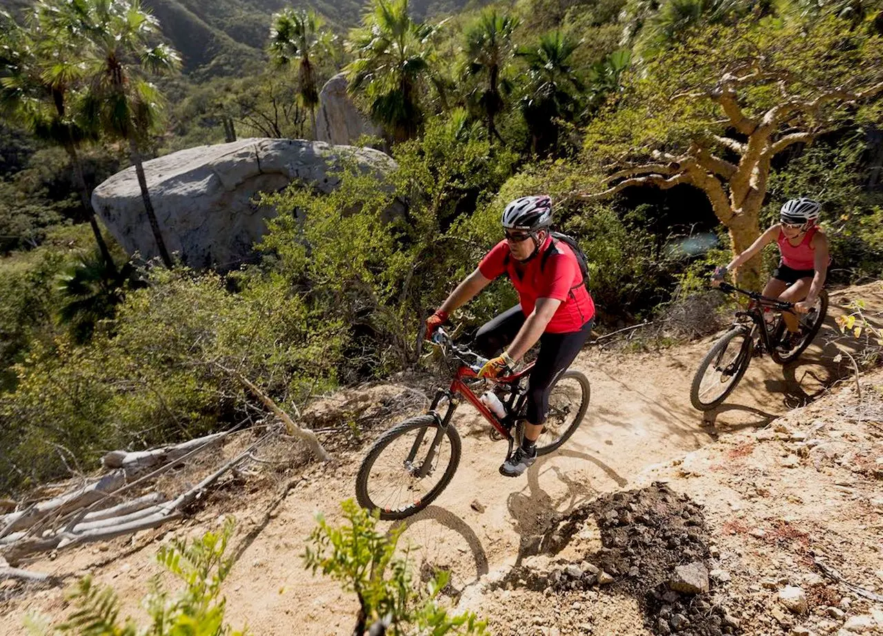 Turismo Rural en Baja California: Una Experiencia Inolvidable - Qué actividades se realizan en Baja California actividades de turismo rural en baja california - Qué actividades se realizan en Baja California