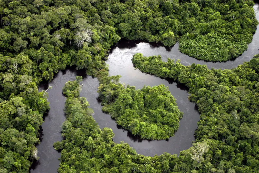Turismo en la Selva Tropical Ecuatoriana: Una Guía Completa para el Viajero Aventurero - Qué actividades se realizan en la selva tropical turismo en la selava tropical - Qué actividades se realizan en la selva tropical