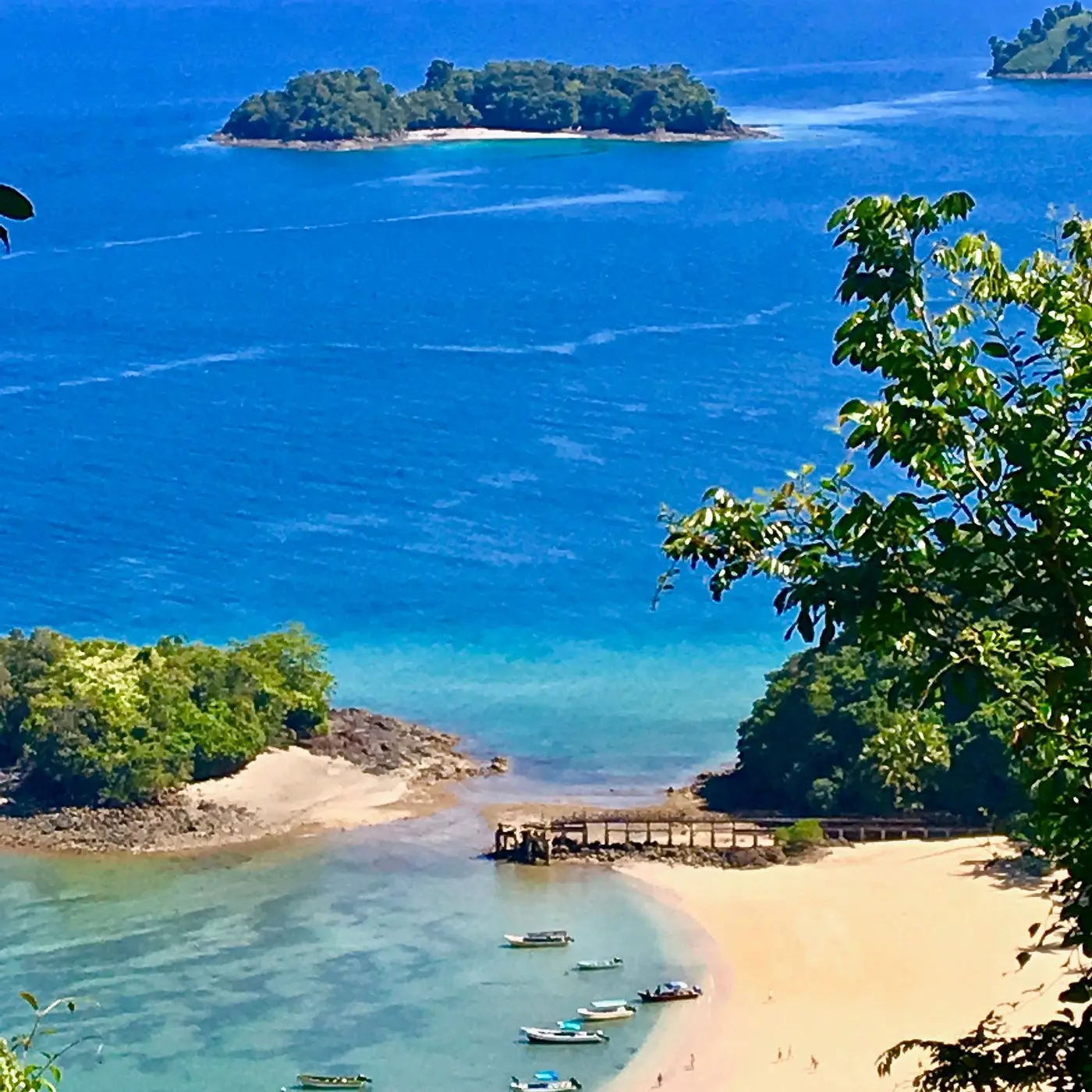 Turismo Controlado en Isla Coiba: Un Paraíso con Acceso Restringido - Qué animales hay en Isla Coiba turismo controlado en isla coiba - Qué animales hay en Isla Coiba