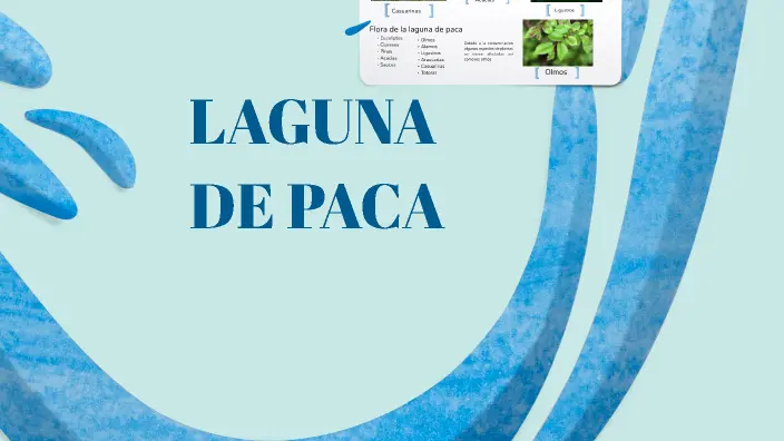 Laguna de Paca: Turismo, Leyendas y Naturaleza en Jauja, Perú - Qué animales hay en la laguna de Paca laguna de paca turismo - Qué animales hay en la laguna de Paca