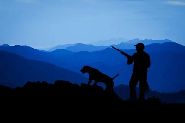 que animales se pueden cazar en semana de turismo - Qué animales se pueden cazar y comer