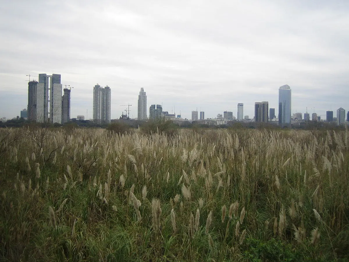 Buenos Aires Turismo Costanera: Una Guía Completa para Tu Visita - Qué barrio es Costanera Sur buenos aires turismo costanera - Qué barrio es Costanera Sur