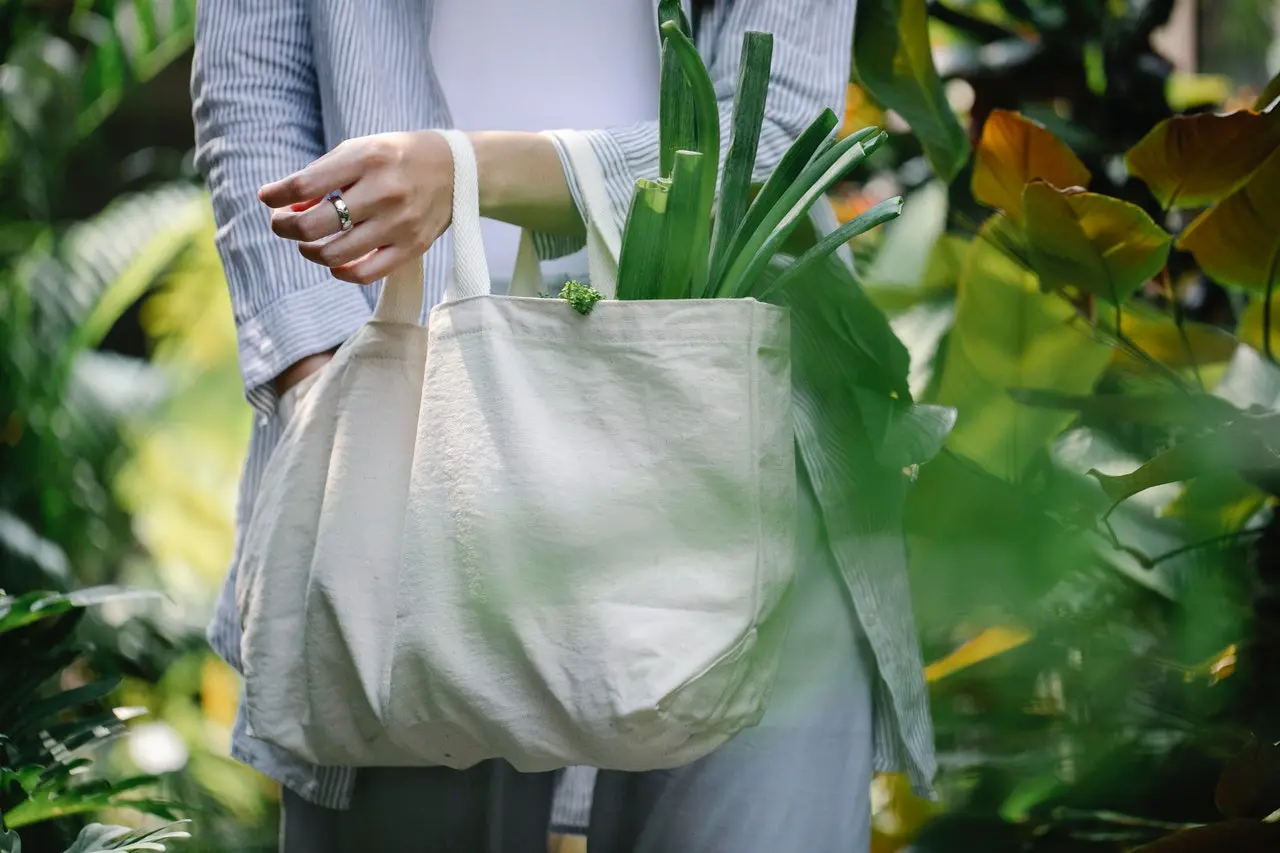 Bolsas Ecológicas con Marca Turística: La Opción Sostenible para Promover tu Destino - Qué beneficios tiene utilizar bolsas ecológicas bolsas ecologicas con marca turismo - Qué beneficios tiene utilizar bolsas ecológicas