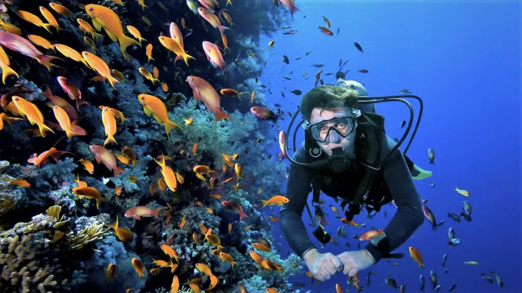 Cómo el Buceo Ayuda al Turismo: Una Explosión de Beneficios - Qué beneficios trae el buceo como el buceo ayuda al turismo - Qué beneficios trae el buceo