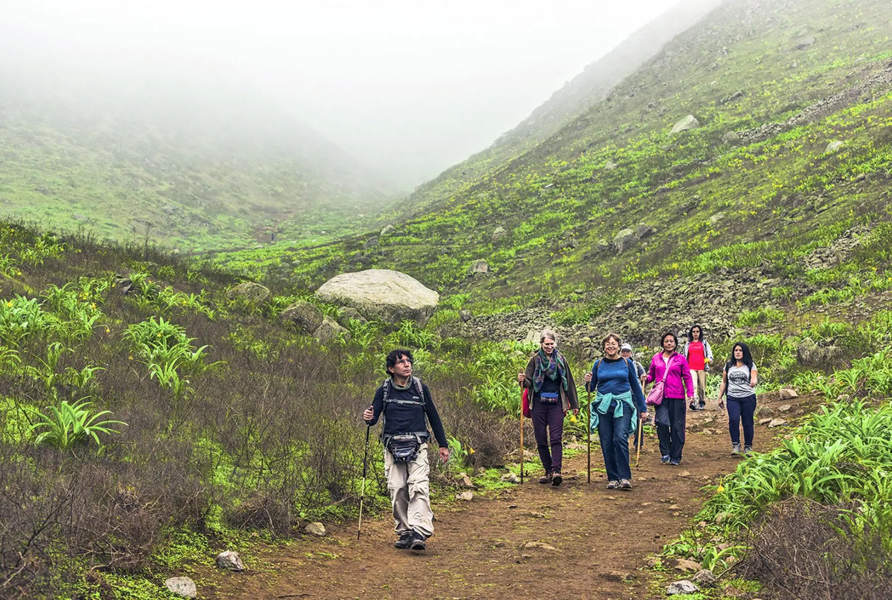 biodiverdidad lomas de asia cañete turismo - Qué biodiversidad encontramos en las lomas costeras