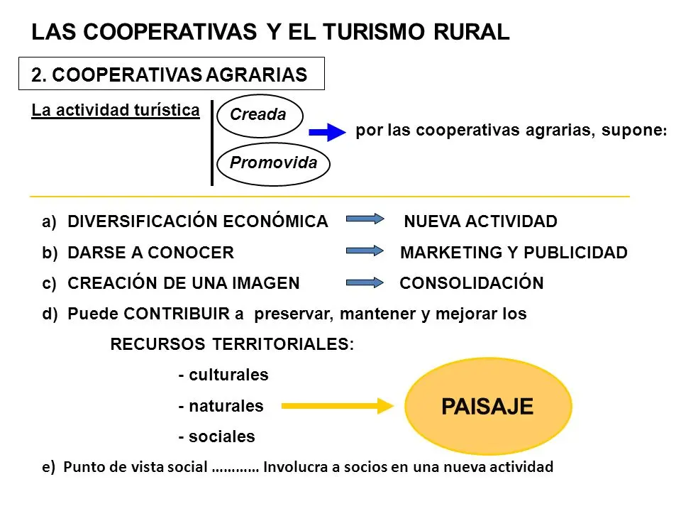 Características de las Cooperativas en el Turismo - Qué características presentan las cooperativas caracteristicas del cooperativa en el turismo - Qué características presentan las cooperativas