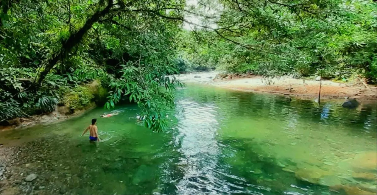 Mocoa, Putumayo: Una Guía Completa para el Turista - Qué caracteriza a Mocoa mocoa putumayo turismo - Qué caracteriza a Mocoa