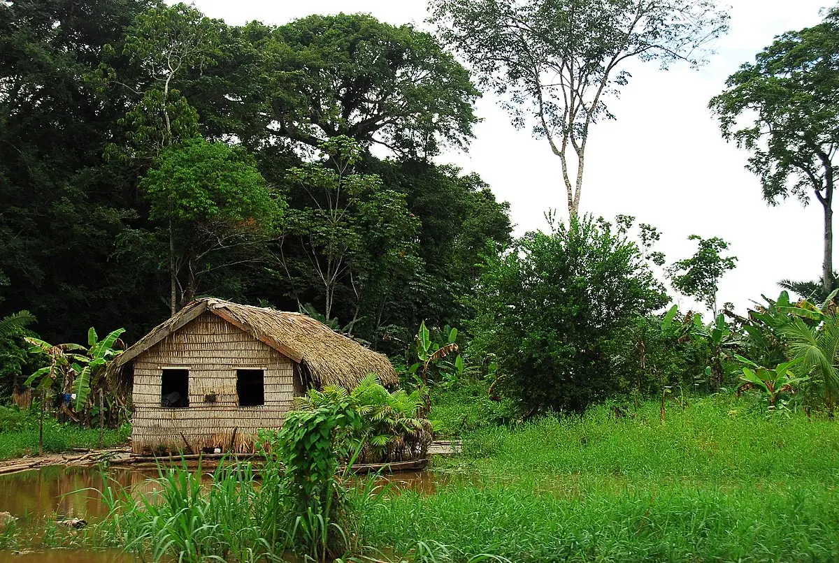 Turismo en la Zona Norte de Brasil: Una Guía Completa para tus Vacaciones - Qué ciudades hay al norte de Brasil turismo zona norte brasil - Qué ciudades hay al norte de Brasil
