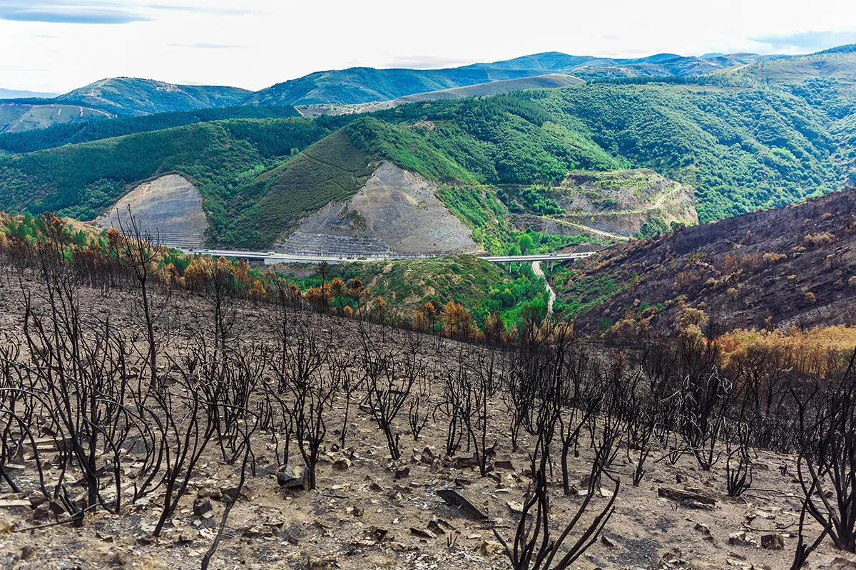 deforestacion y turismo - Qué consecuencias trae la deforestación