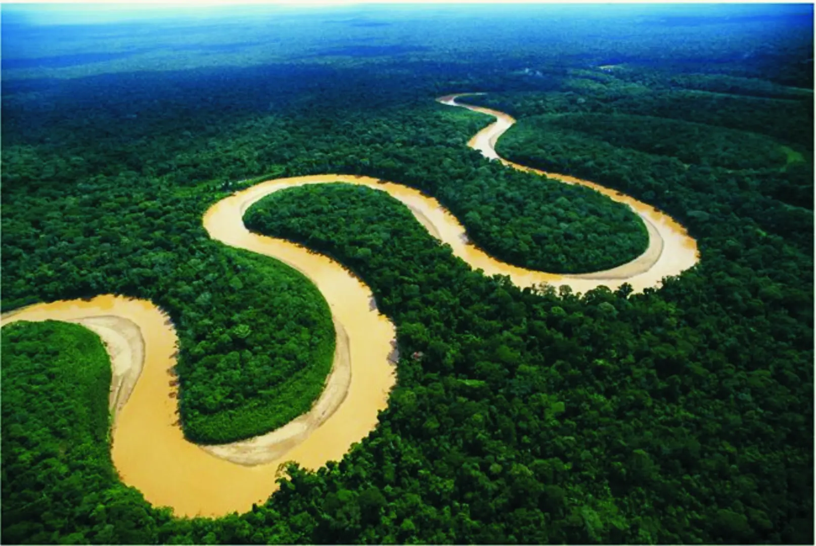 turismo iquitos río amazonas - Qué cosas hay en el río Amazonas