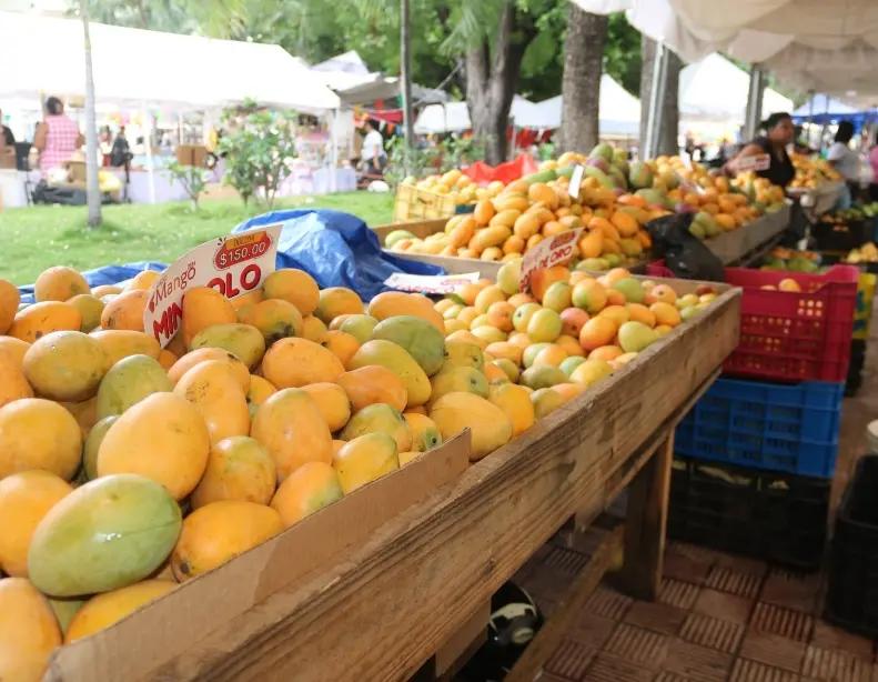 feria mango promueve turismo baní - Qué día es la Feria del Mango