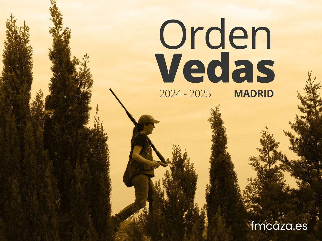 Turismo de Caza: Un Análisis Completo del Impacto Económico y Ecológico - Qué día se abre la temporada de caza turismo de caza - Qué día se abre la temporada de caza