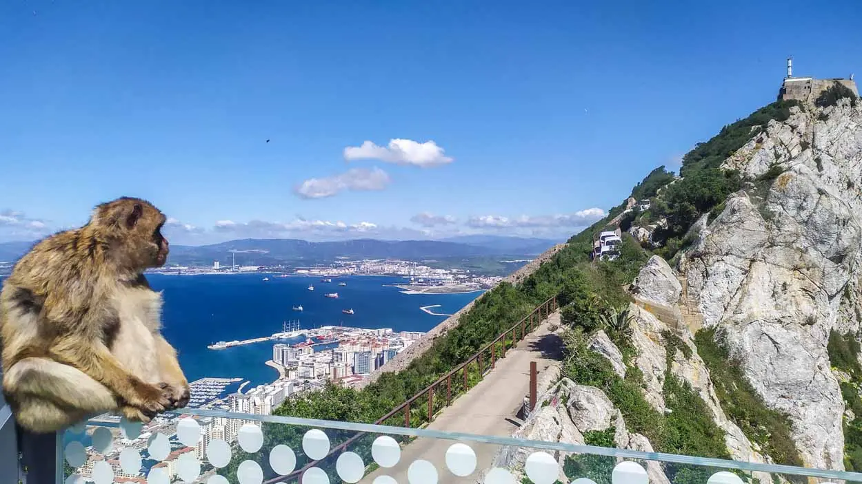 informacion turismo gibraltar - Qué días cierran las tiendas en Gibraltar