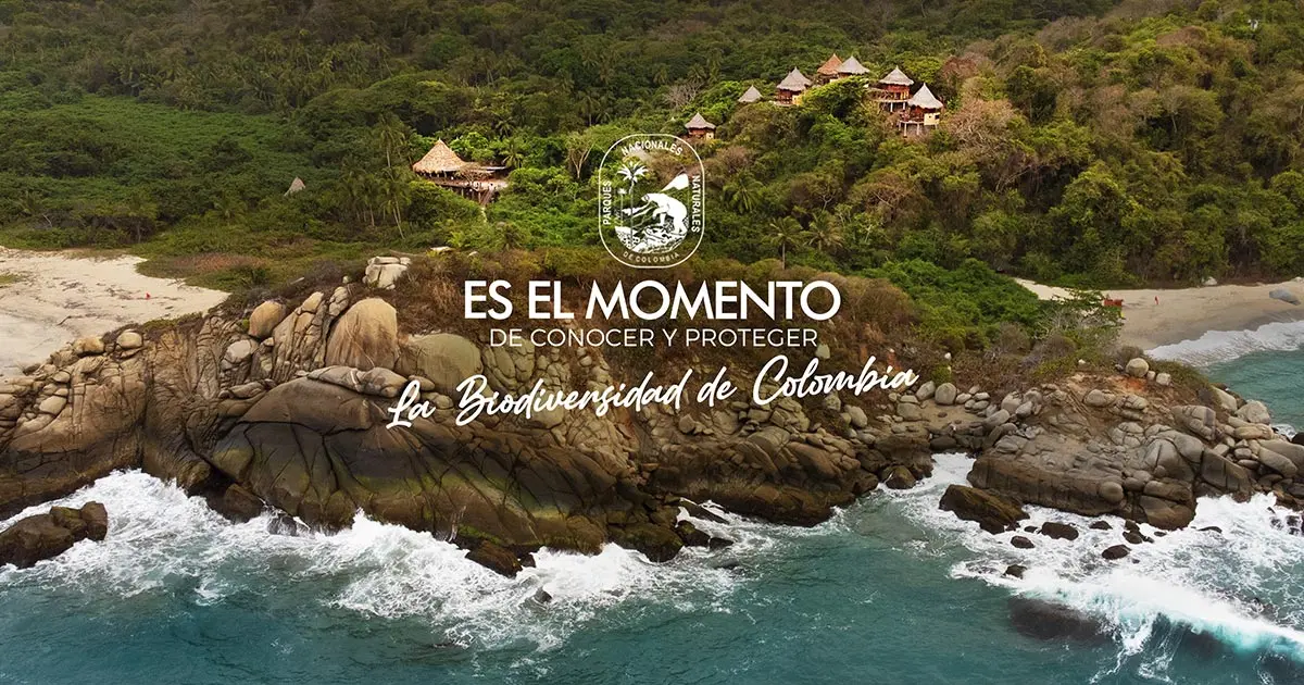 Parque Nacional Natural Amacayacu: Turismo en el Corazón de la Amazonía - Qué encontramos en los parques nacionales parque nacional natural amacayacu turismo - Qué encontramos en los parques nacionales