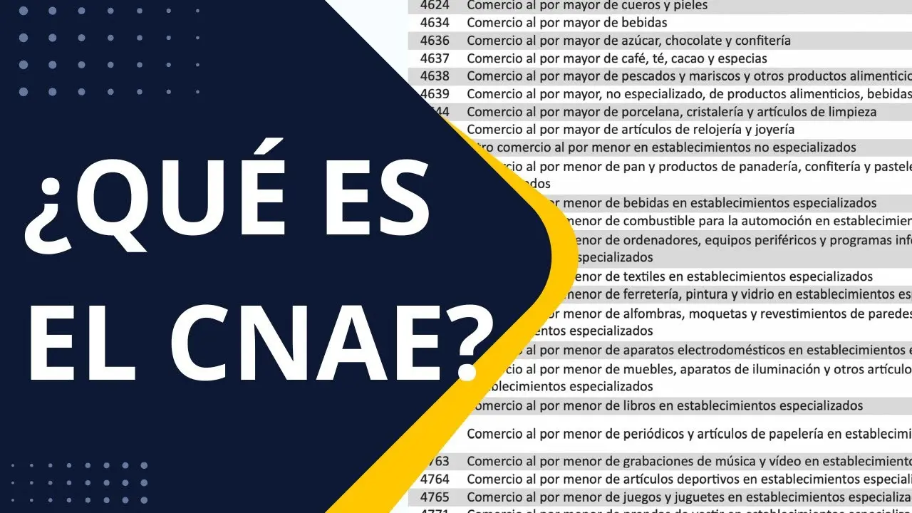 CNAE Guía de Turismo: Clave para tu Negocio - Qué es el CNAE 9609 cnae guia de turismo - Qué es el CNAE 9609