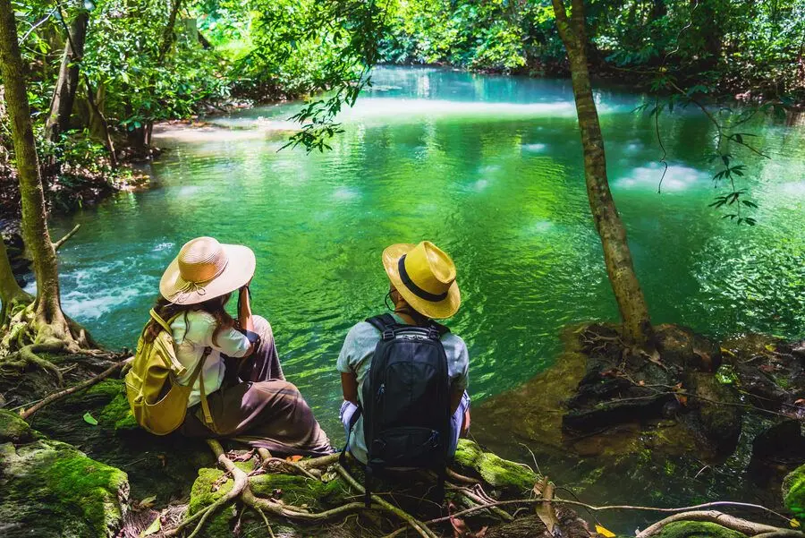 Educación para la Conservación y el Turismo: Un Enfoque Integral para un Futuro Sostenible - Qué es la conservación en el turismo educacion para la conservacion y el turismo - Qué es la conservación en el turismo