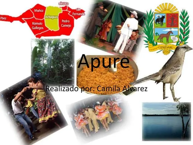 Cultura Gastronómica y Turismo del Estado Apure - Qué es la gastronomía llanera cultura gastronomica y turismo del estado apure - Qué es la gastronomía llanera