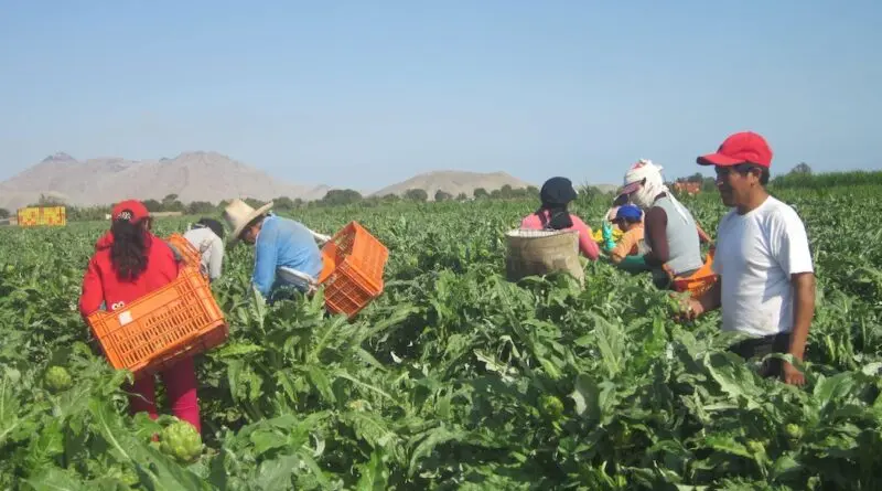 Maestría en Agroindustria Rural, Desarrollo Territorial y Turismo Agroalimentario - Qué es la Maestría en desarrollo rural maestría en agroindustria rural desarrollo territorial y turismo agroalimentario - Qué es la Maestría en desarrollo rural
