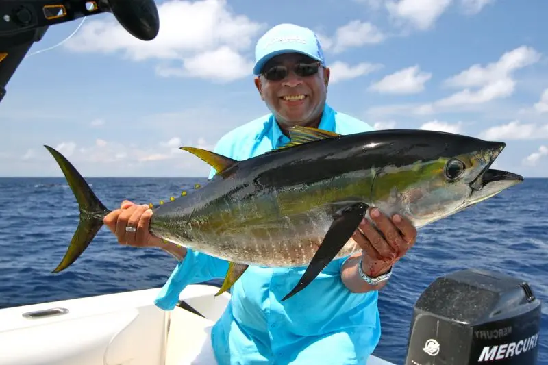Pesca y Turismo Costero: Un Mar de Oportunidades - Qué es la pesca en la costa pesca y turismo costero - Qué es la pesca en la costa