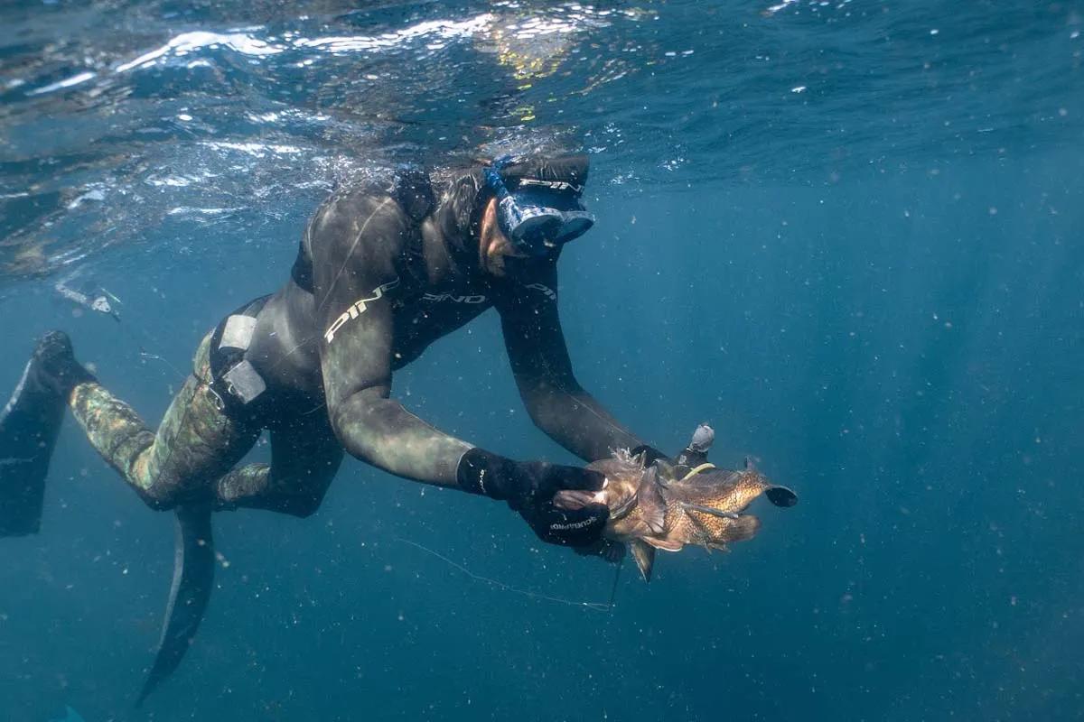 que es turisma de buseo y pesca - Qué es la pesca por buceo