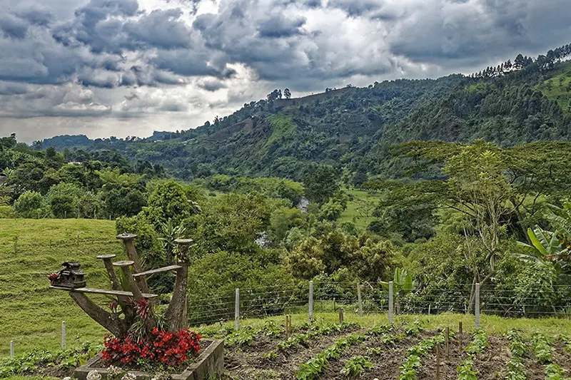 <b>Tebaida Quindío:</b> Guía Completa de Turismo, Historia y Atractivos - Qué es la tebaida tebaida quindio turismo - Qué es la tebaida