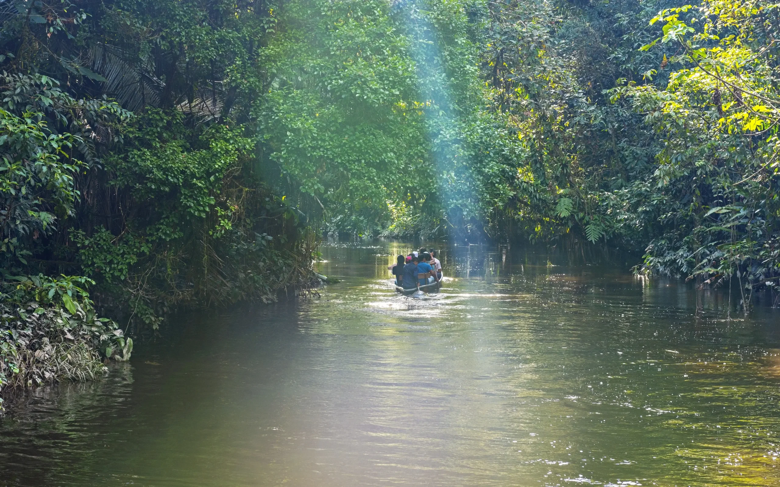 yasuni turismo - Qué es lo más conocido del parque Yasuní