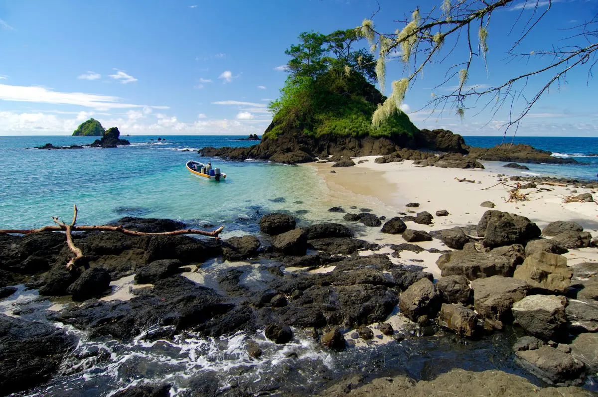 animales de chiriquí en turismo - Qué es lo más importante de Chiriquí