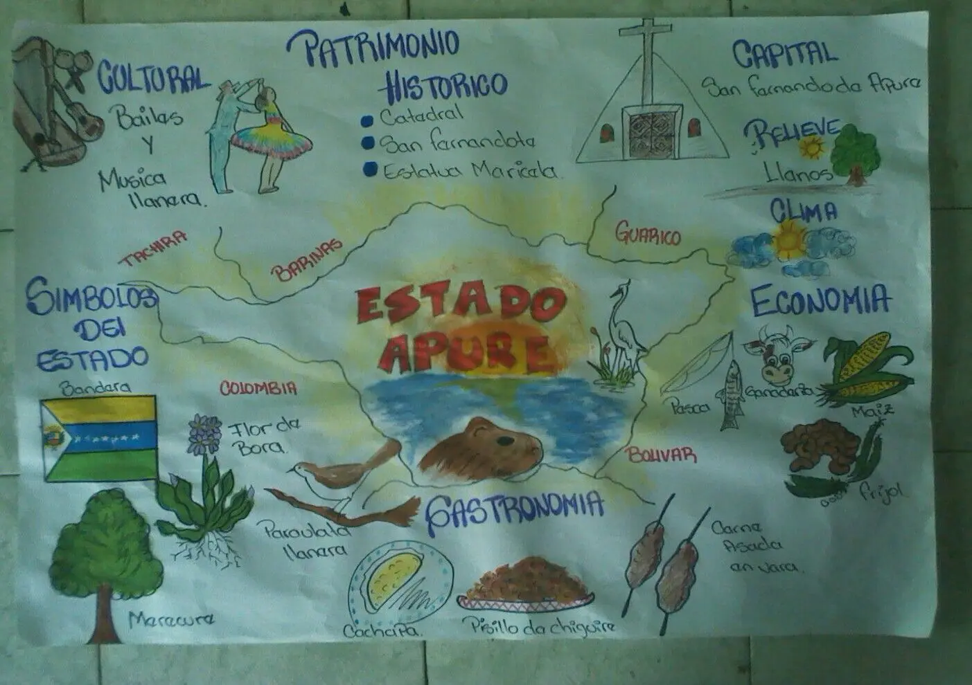 dibujo de flora fauna y turismo del estado apure - Qué es lo más importante del Estado Apure
