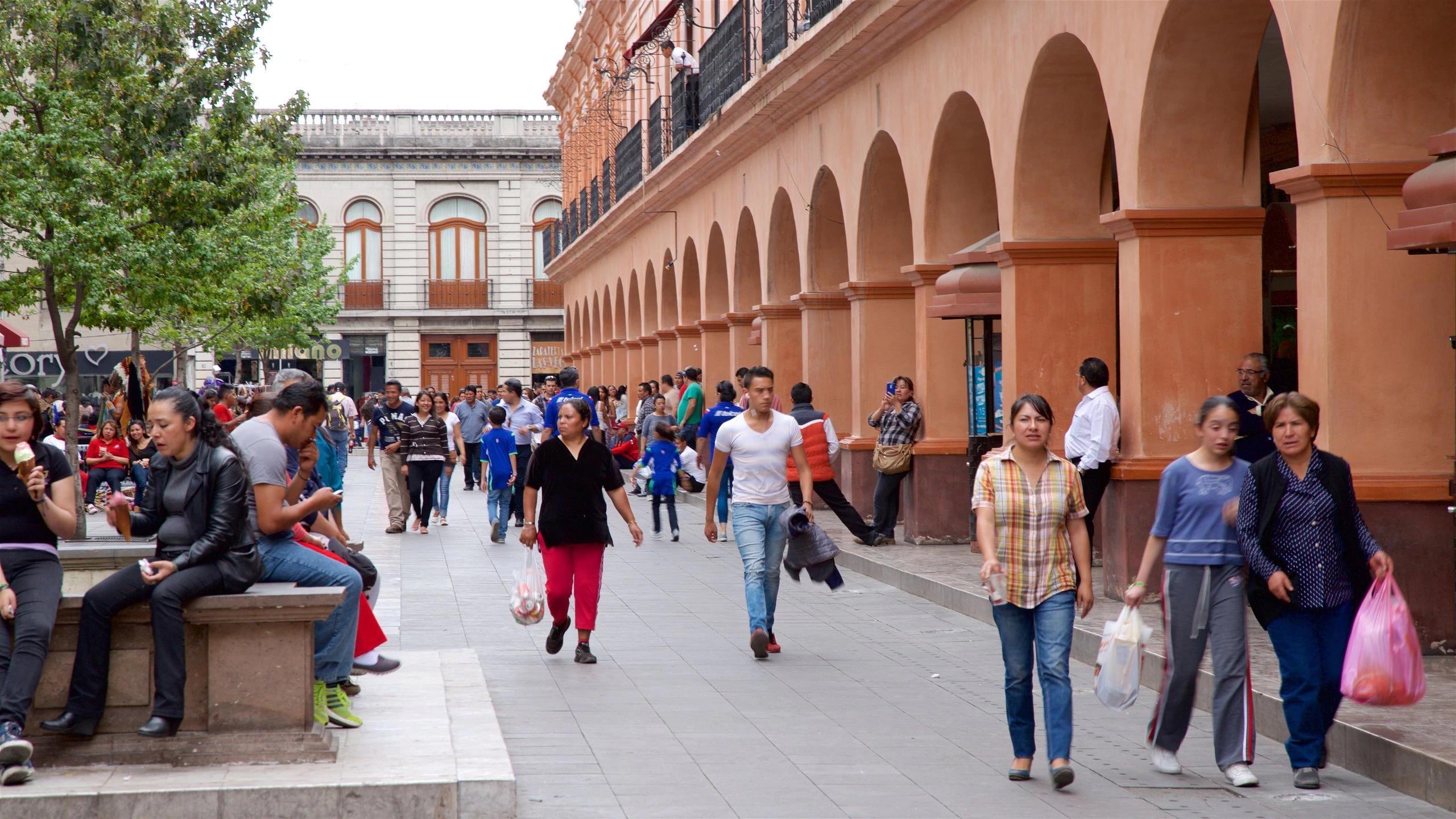 Turismo Cultural en Toluca: Un viaje por la historia y la tradición - Qué es lo más representativo de Toluca turismo cultural en toluca - Qué es lo más representativo de Toluca