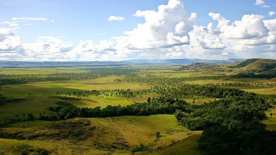 Turismo en Barinas, Venezuela: Una Experiencia Llanera - Qué es lo que más se produce en Barinas barinas venezuela turisma - Qué es lo que más se produce en Barinas