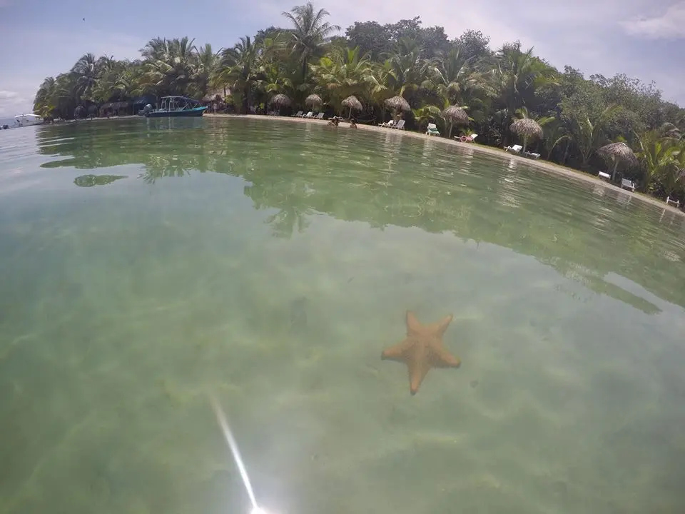 Turismo en Panamá y Costa Rica: Una Comparativa Completa para tu Próximo Viaje - Qué es más barato, Panamá o Costa Rica turismo panama y costa rica - Qué es más barato, Panamá o Costa Rica